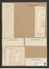 Licmophora juergensii var. constricta Grun. (de-Toni-Nr.: Genus 86, Species 2955) Zeichnungen Sammlung Grunow Nr. 5980 (NHMW-BOT-W0374464)